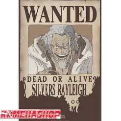 Affiche Wanted Rayleigh